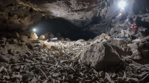 Una imagen de la cueva saudí con los restos humanos. (Fuente externa)