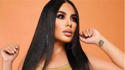 La mayor estrella del pop femenino de Afganistán, Aryana Sayeed. (Fuente externa)