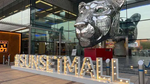 La cabeza de Mbaye la Leona se encuentra expuesta en Dubai en el Sunset Mall de Jumeirah Road. (Cedida)