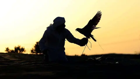 Reserva de caza de Al Marzoom en Emiratos Árabes. (EL CORREO)