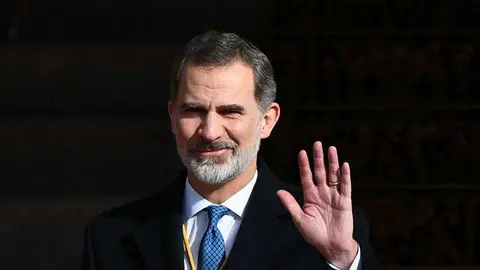 Felipe VI, Rey de España. (Fuente externa)