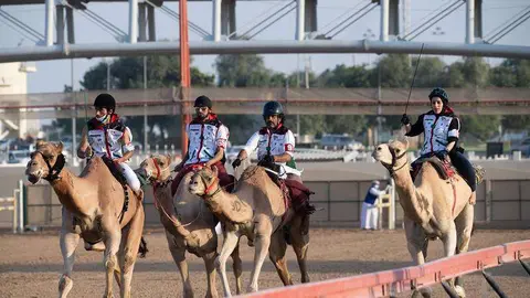 Una imagen de la carrera camellos. (Fuente externa)
