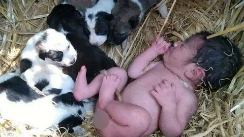 El bebé y los cachorros. (dailymail.co.uk)