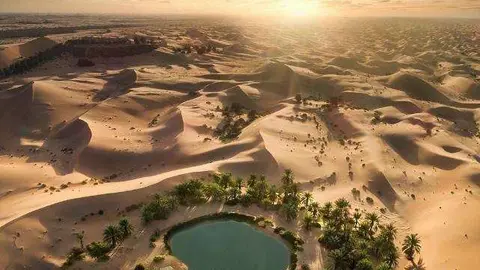 Oasis en Al Ain a modo ilustrativo. (Fuente externa)