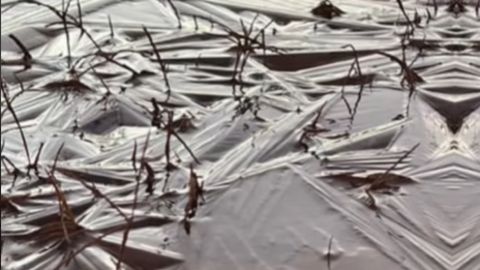 La escarcha en Jebel Jais. (Rak Media Office)