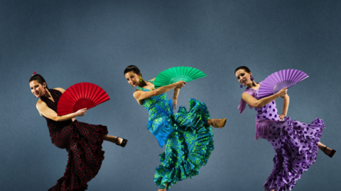 Flamenco Passion. (Facebook)