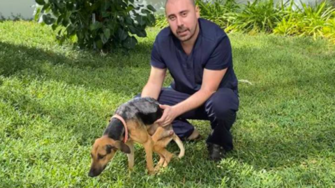 El perro junto a su veterinario salvador. (Animalia)