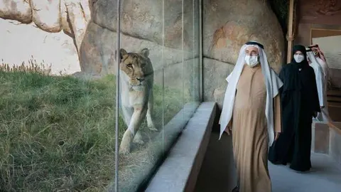 El gobernante de Sharjah durante safari. (Fuente externa)