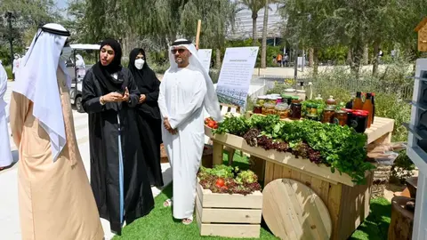 El gobernante de Dubai visita la granja de agricultura comunitaria. (Twitter)