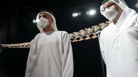 La agencia de noticias de Emiratos mostró esta imagen con parte del dinosaurio.