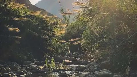 Perspectiva de Wadi Wurayah. (WAM)