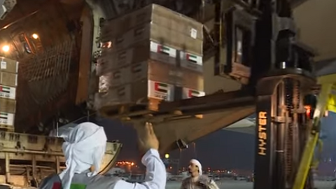 Carga de ayuda humanitaria en el avión fletado por Emiratos para Ucrania. (WAM)