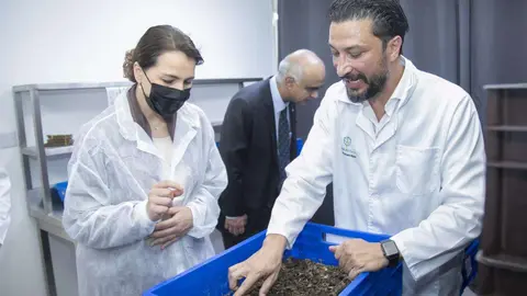 Emiratos lidera el primer proyecto de la región que reciclará desechos orgánicos para convertirlos en alimentos. (WAM)