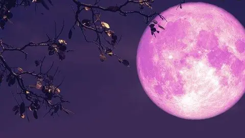 Una imagen de una superluna fresa. (Fuente externa)