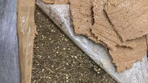 El alijo de marihuana. (Dubai Customs)