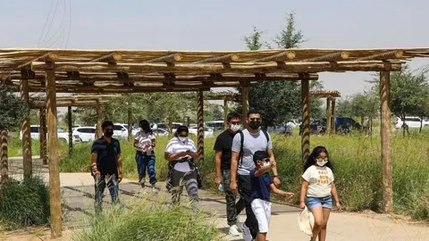 Una imagen del Safari de Sharjah. (WAM)