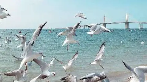 Una imagen de la playa de Al Bateen en Abu Dhabi. (Twitter)