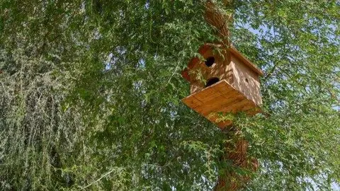 La Oficina de Prensa de Abu Dhabi difundió esta imagen de la jaula con baño instalada en los árboles del emirato.