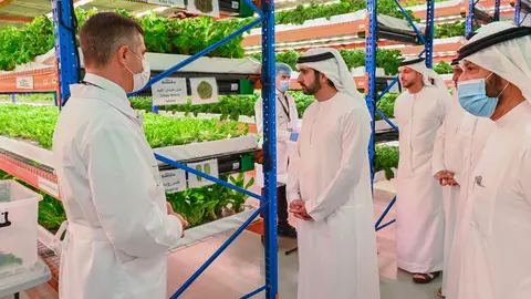El jeque Hamdan visita la granja vertical más grande del mundo. (WAM)j