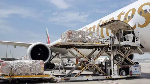 Un avión de carga de la aerolínea Emirates. (WAM)