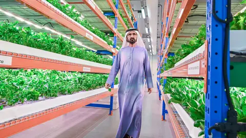 El jeque Mohammed en la granja hidropónica. (WAM)