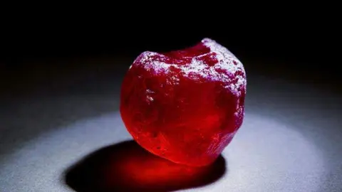 Rubí en exhibición en Dubai. (Twitter)