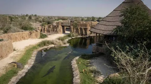 Una imagen del Safari de Sharjah. (Fuente externa)