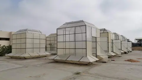 Los invernaderos en Emiratos. (WAM)