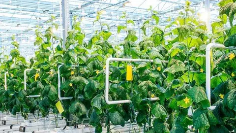 Una imagen a modo ilustrativo. (FOODTECH Challenge)