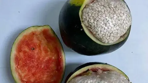 La Dirección General de Control de Estupefacientes saudí se incautó las anfetaminas. (SPA)