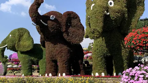 Imagen de Miracle Garden. (ELCORREO)