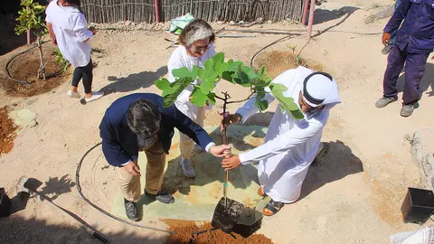 Íñigo de Palacio España -izquierda-, Inocenta Sánchez Ewart y Adnan Al Shehhi proceden a la plantación de una higuera extremeña en Jabel Sahaab. (EL CORREO