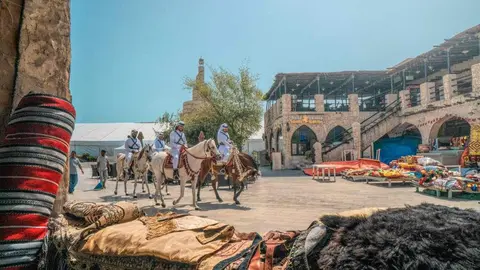 Caballo hispano árabe