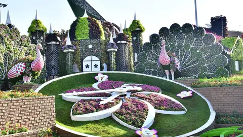 Dubai Miracle Garden. (Twitter)