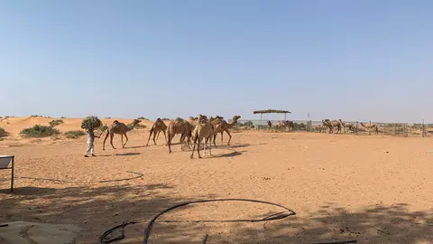 A modo ilustrativo, zona desértica en EAU. (EL CORREO)