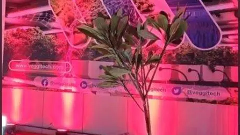 Una imagen a modo ilustrativo. (Twitter)