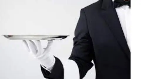 Una imagen a modo ilustrativo. (Silver Swan)