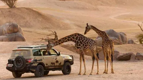 Una imagen del zoo de Al Ain. (Fuente externa)