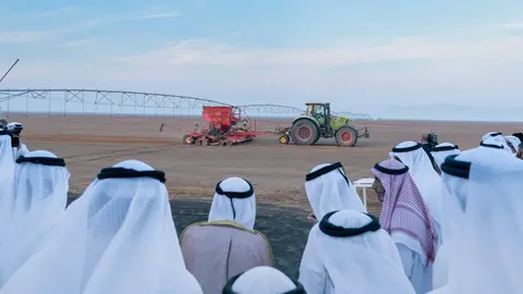 Autoridades del emirato de Sharjah en la plantación de trigo. (WAM)