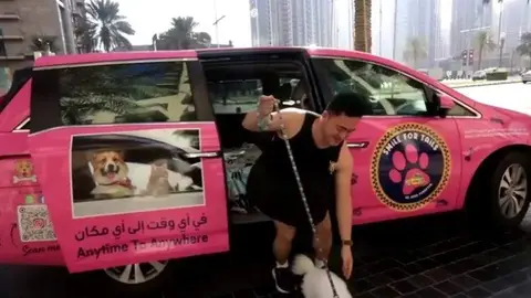 Una captura de pantalla del vídeo del taxi para mascotas. (Twitter)