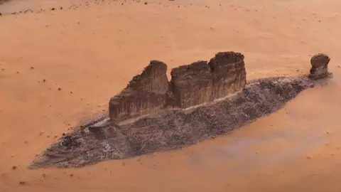 Una imagen de la roca con forma de pez. (Twitter)