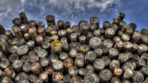 Una imagen a modo ilustrativo. (Fuente externa)