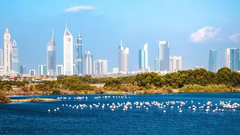 Una imagen del centro de Dubai. (Dubai Media Office)