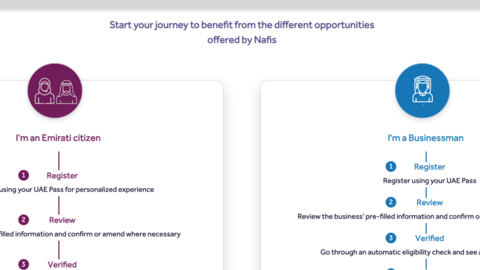 Imagen de la plataforma online Nafis.