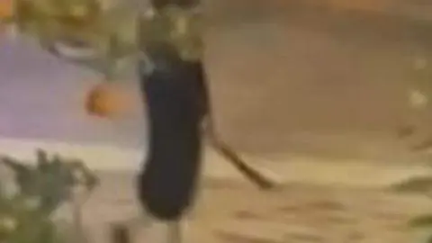 El presunto atacante con el machete. (Twitter)