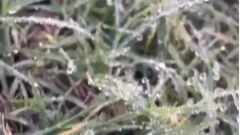 Captura de pantalla de uno de los vídeos difundidos. (Instagram)