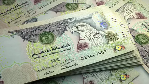 Moneda de Emiratos Árabes Unidos. (Maksym Kapliuk)