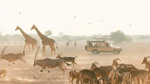 Una imagen de un safari en Abu Dhabi. (WAM)
