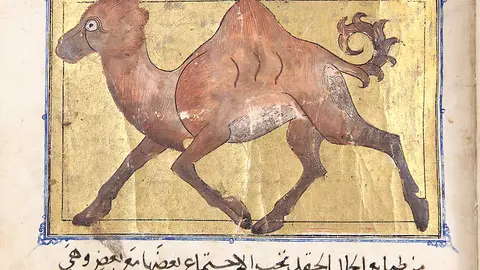 Uno de los manuscritos españoles exhibidos en Sharjah. (WAM)