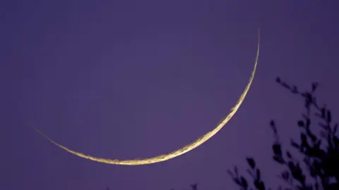 Una imagen de la luna. (WAM)